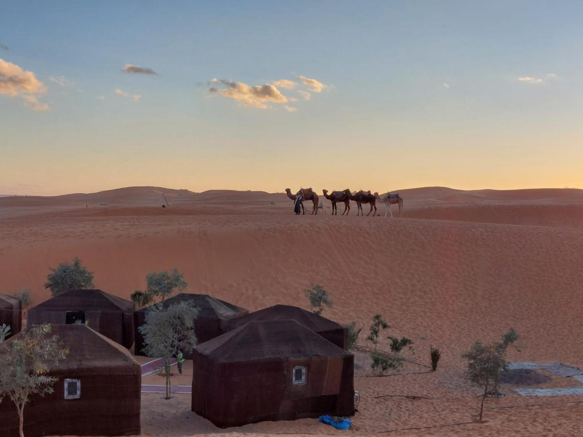 Hammadi Desert Camp Merzouga Extérieur photo