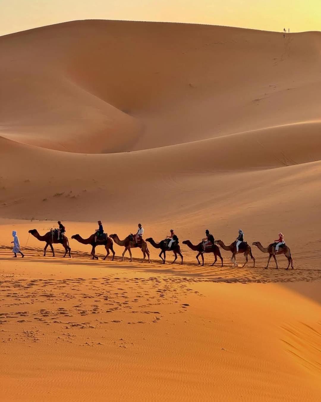Hammadi Desert Camp Merzouga Extérieur photo
