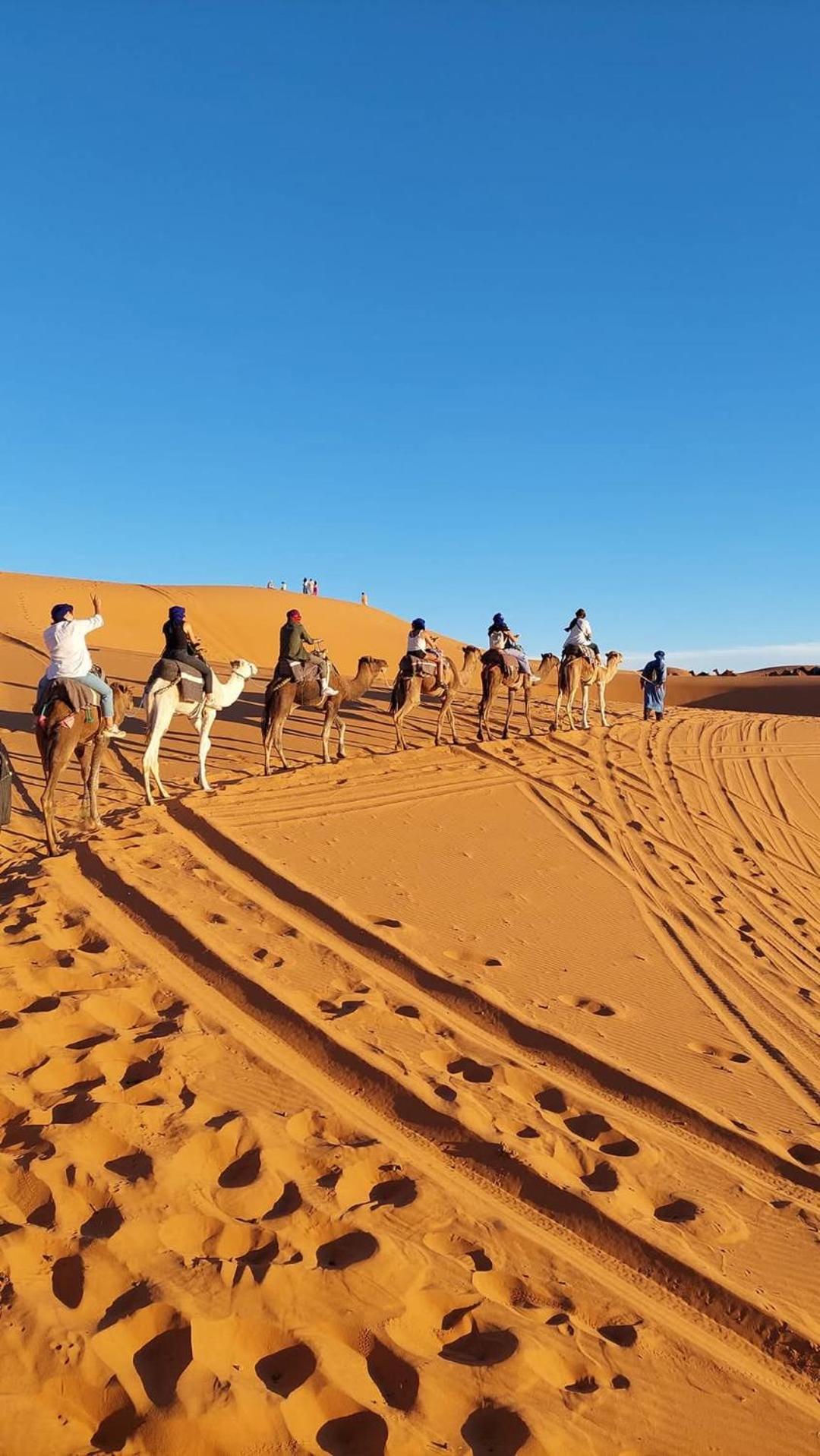 Hammadi Desert Camp Merzouga Extérieur photo